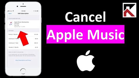 How to Cancel Apple Music Subscription on PC: A Comprehensive Guide Alongside Insights into Streaming Service Trends